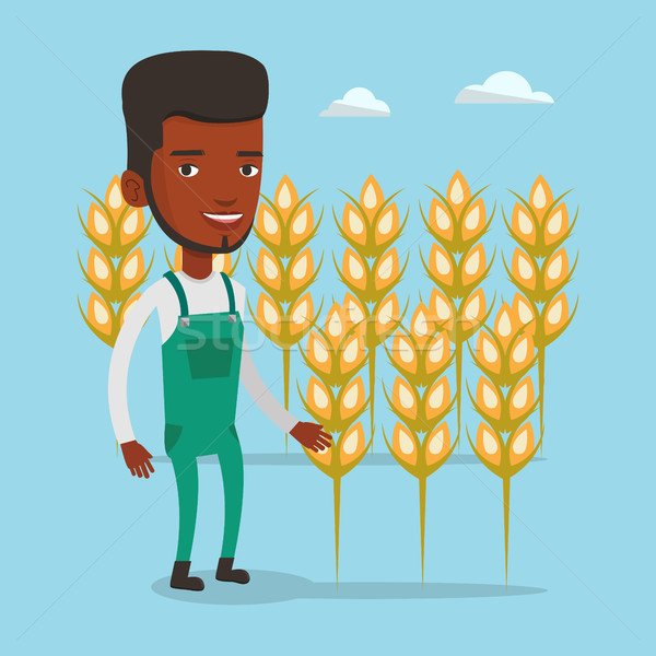 Farmer in wheat field vector illustration. Stock photo © RAStudio