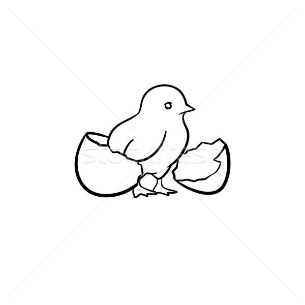 Chick hand drawn sketch icon. Stock photo © RAStudio