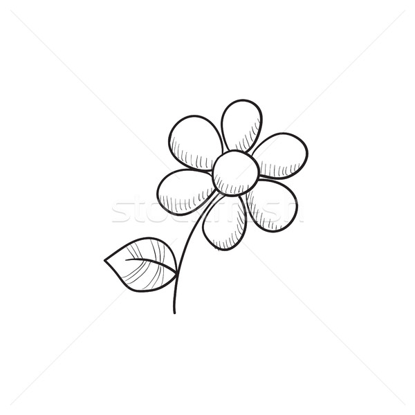Flower sketch icon. Stock photo © RAStudio
