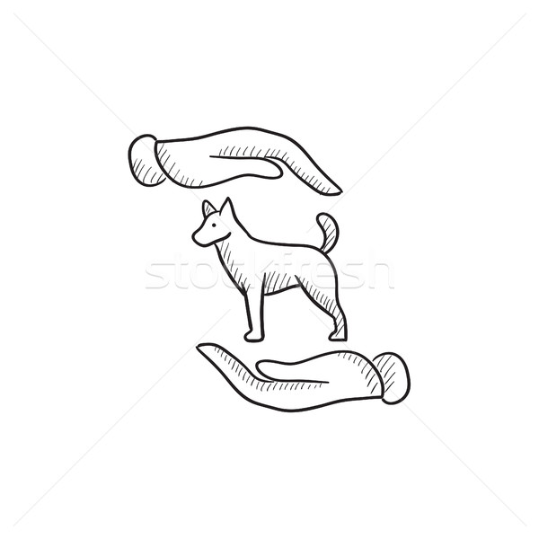 Pet care sketch icon. Stock photo © RAStudio