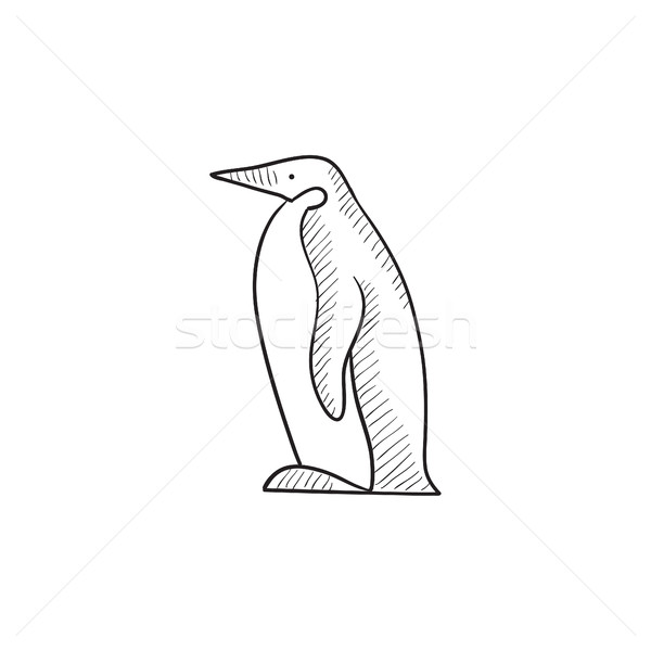 Penguin sketch icon. Stock photo © RAStudio