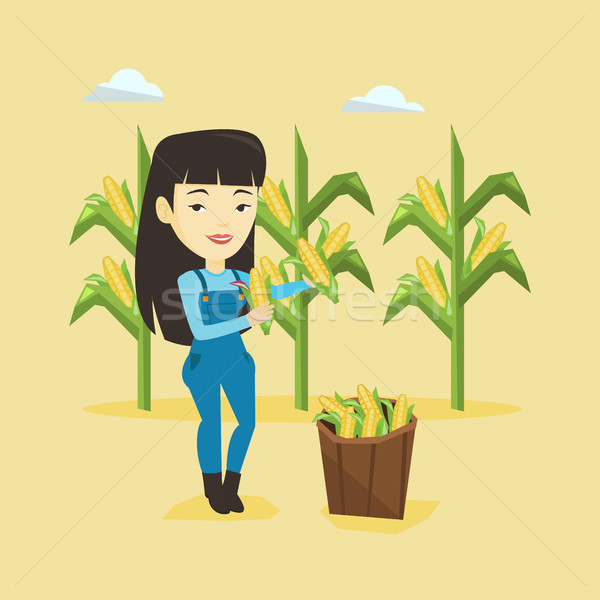 ストックフォト: 農家 · トウモロコシ · 女性 · アジア