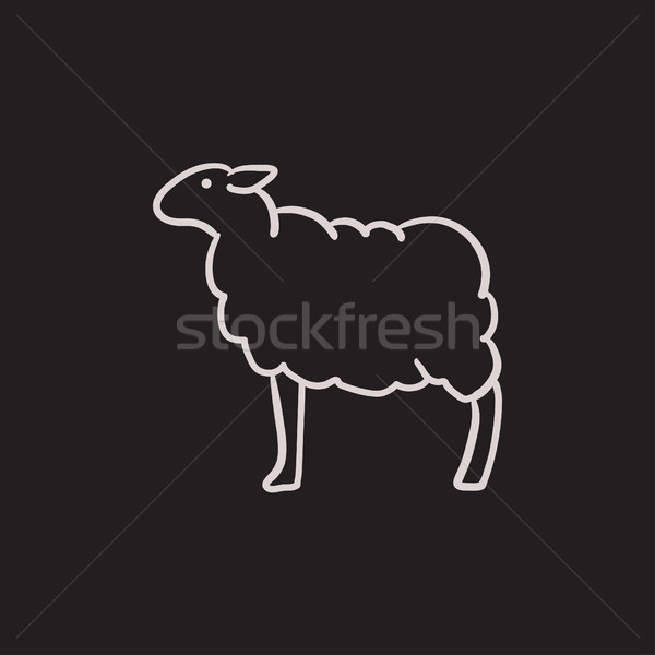 Foto stock: Ovejas · boceto · icono · vector · aislado · dibujado · a · mano