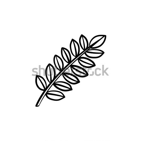 Leaves on branch hand drawn sketch icon. Stock photo © RAStudio