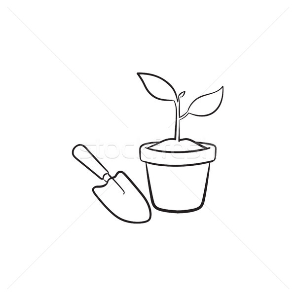 Stock photo: Garden trowel and pot hand drawn sketch icon.