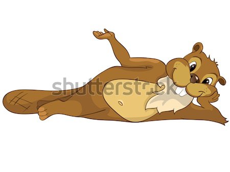 Stock photo: Beaver CREES