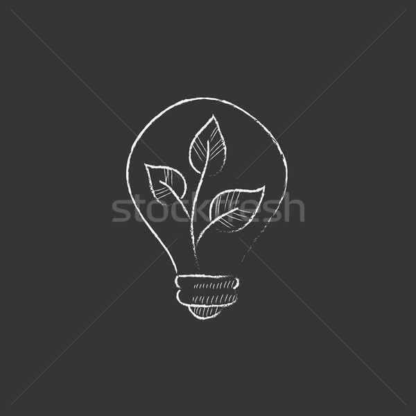 Villanykörte növény bent rajzolt kréta ikon Stock fotó © RAStudio