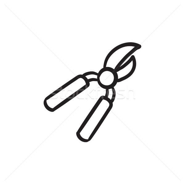 Pruner sketch icon. Stock photo © RAStudio