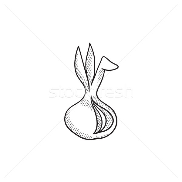 Onion sketch icon. Stock photo © RAStudio