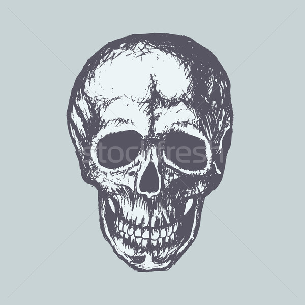 Menselijke schedel schets vector computer graphics oog Stockfoto © RAStudio