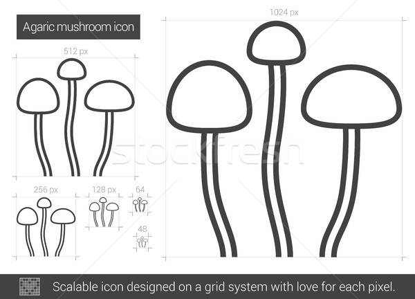 Agaric mushroom line icon. Stock photo © RAStudio
