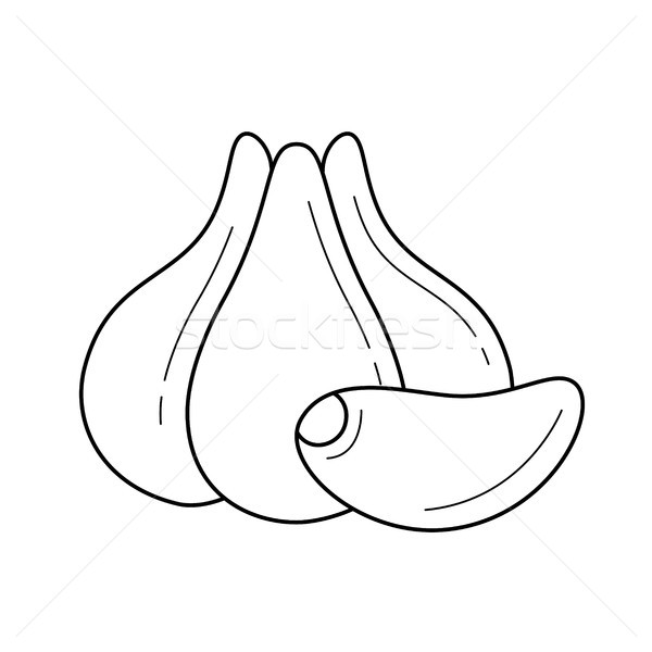 Imagem Vetorial. Desenho Do Esboço Da Rúcula. Esboço De Vegetação, Tempero,  Imitação De Tinta. Royalty Free SVG, Cliparts, Vetores, e Ilustrações  Stock. Image 87648187