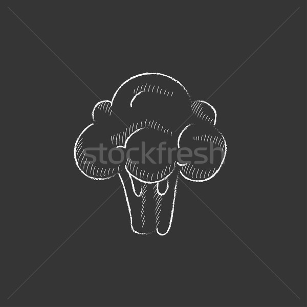 Broccoli krijt icon vector Stockfoto © RAStudio