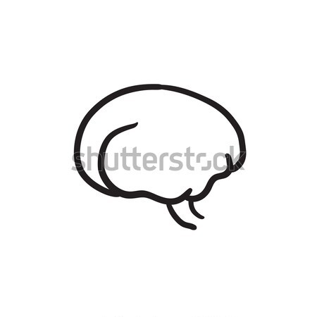 Brain sketch icon. Stock photo © RAStudio
