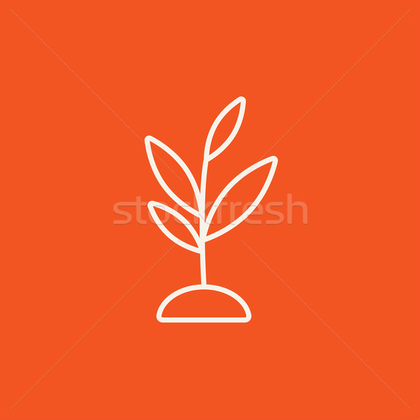Sprout line icon. Stock photo © RAStudio