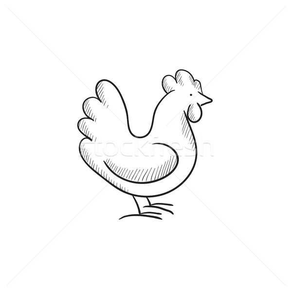 ストックフォト: 鶏 · スケッチ · アイコン · ウェブ · 携帯 · インフォグラフィック