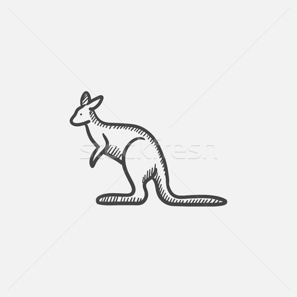 Сток-фото: кенгуру · эскиз · икона · веб · мобильных · Инфографика