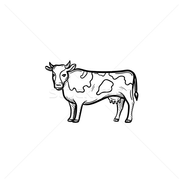 Vache dessinés à la main croquis icône vecteur [[stock_photo]] © RAStudio