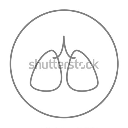 Lungs icon drawn in chalk. Stock photo © RAStudio