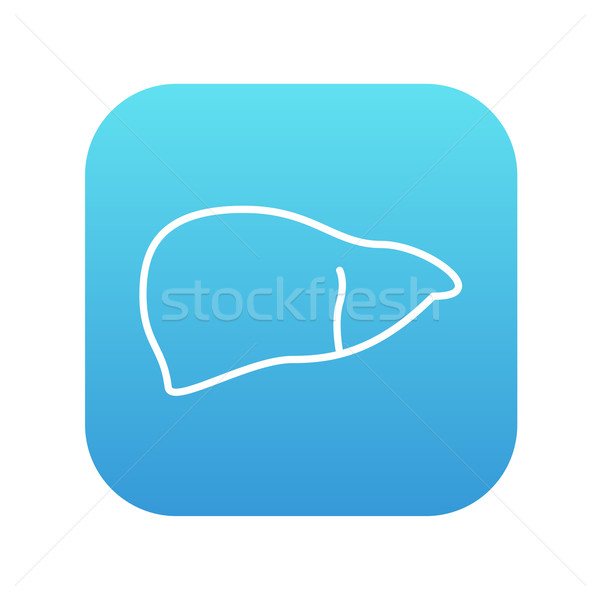 Liver line icon. Stock photo © RAStudio