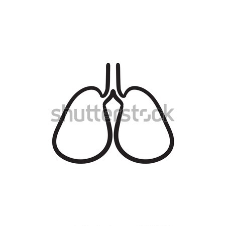 Lungs sketch icon. Stock photo © RAStudio