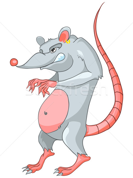 крыса изолированный белый вектора любви Сток-фото © RAStudio