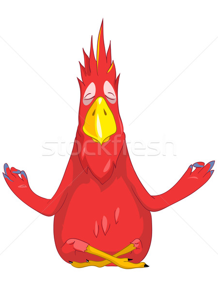 Funny Papagei Yoga Zeichentrickfigur isoliert weiß Stock foto © RAStudio