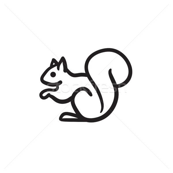 Eichhörnchen Skizze Symbol Vektor isoliert Hand gezeichnet Stock foto © RAStudio