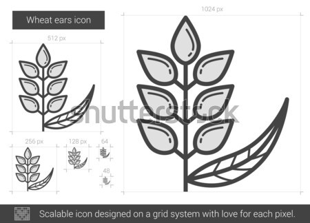 Wheat ears line icon. Stock photo © RAStudio