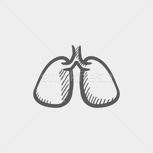 Lungs sketch icon Stock photo © RAStudio
