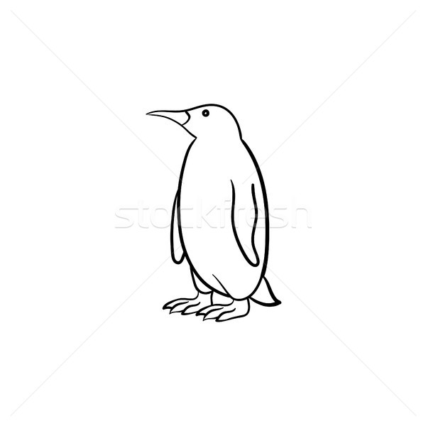 Penguin hand drawn sketch icon. Stock photo © RAStudio