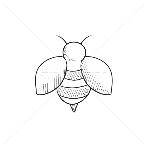 Bee эскиз икона веб мобильных Инфографика Сток-фото © RAStudio