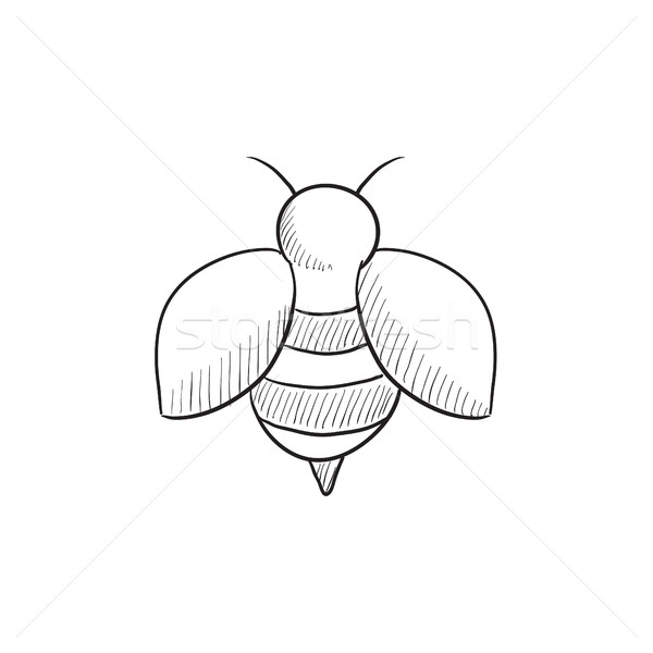 Abeja boceto icono web móviles infografía Foto stock © RAStudio