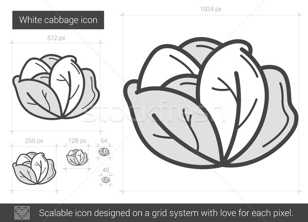 White cabbage line icon. Stock photo © RAStudio