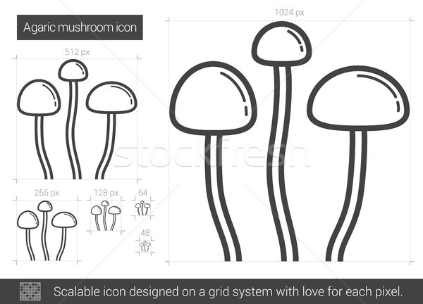 Agaric mushroom line icon. Stock photo © RAStudio