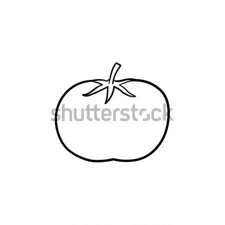 Stock photo: Organic tomato hand drawn sketch icon.