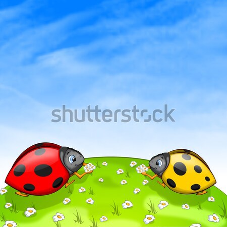 Ladybird Stock photo © RAStudio