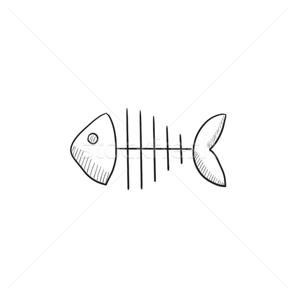 Fish skeleton sketch icon. Stock photo © RAStudio