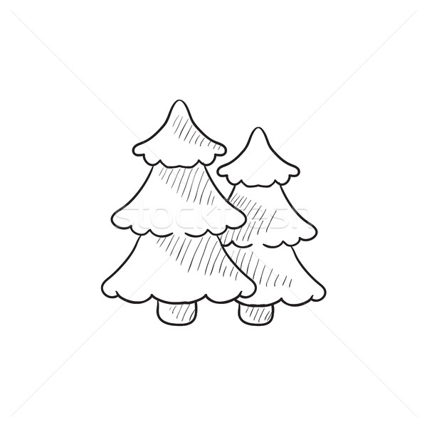Pine trees sketch icon. Stock photo © RAStudio
