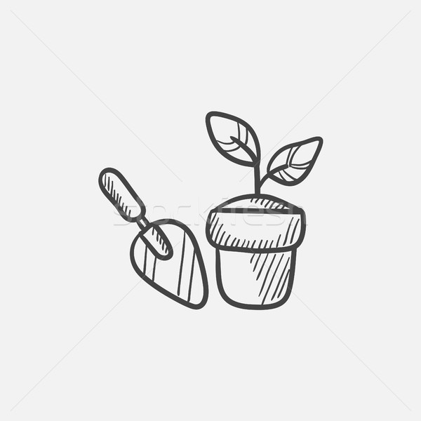 Garden trowel and pot with plant sketch icon. Stock photo © RAStudio