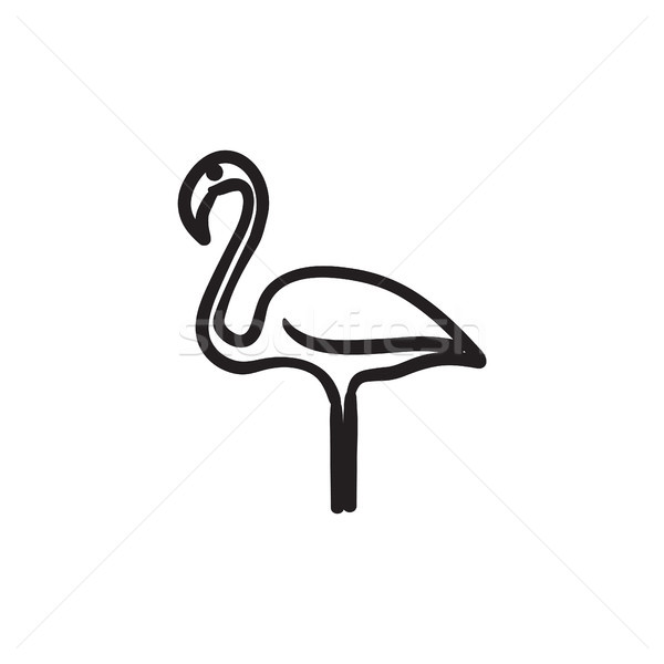 Flamingo kroki ikon vektör yalıtılmış Stok fotoğraf © RAStudio