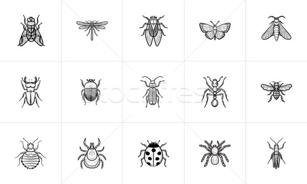 Insecte schiţă web mobil infografica Imagine de stoc © RAStudio