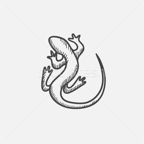 Lizard sketch icon. Stock photo © RAStudio