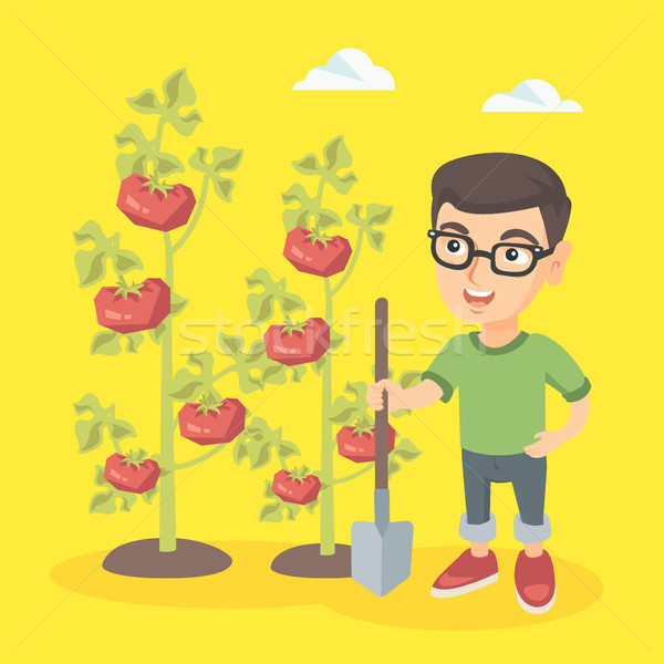 Stockfoto: Weinig · kaukasisch · landbouwer · jongen · tomaten · schop