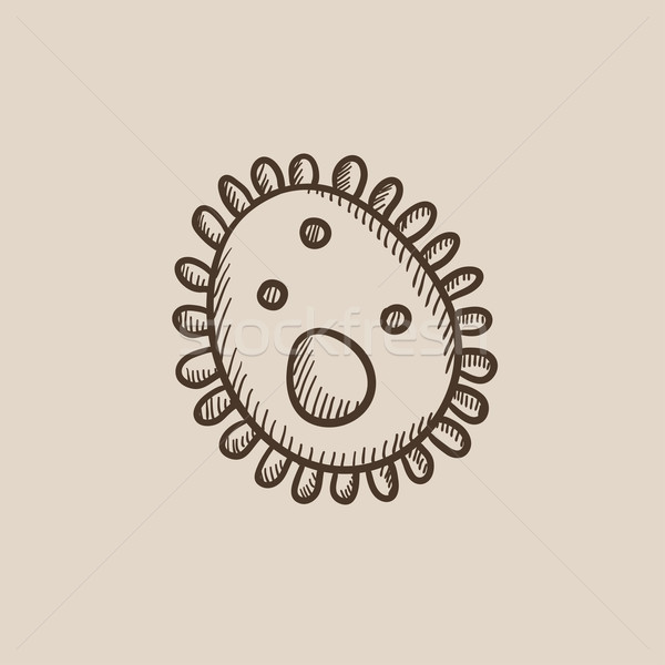 Bakteria szkic ikona internetowych komórkowych infografiki Zdjęcia stock © RAStudio
