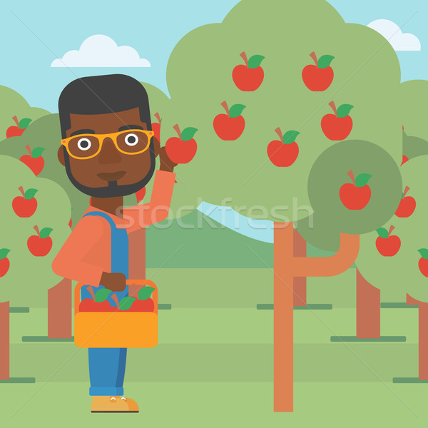 Agricultor recoger manzanas hombre cesta Foto stock © RAStudio