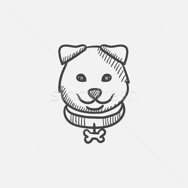 Dog head sketch icon. Stock photo © RAStudio