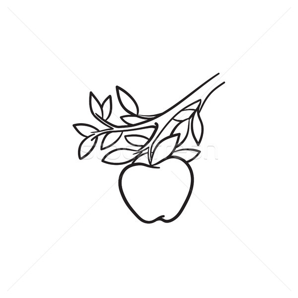 [[stock_photo]]: Pomme · récolte · dessinés · à · la · main · croquis · icône