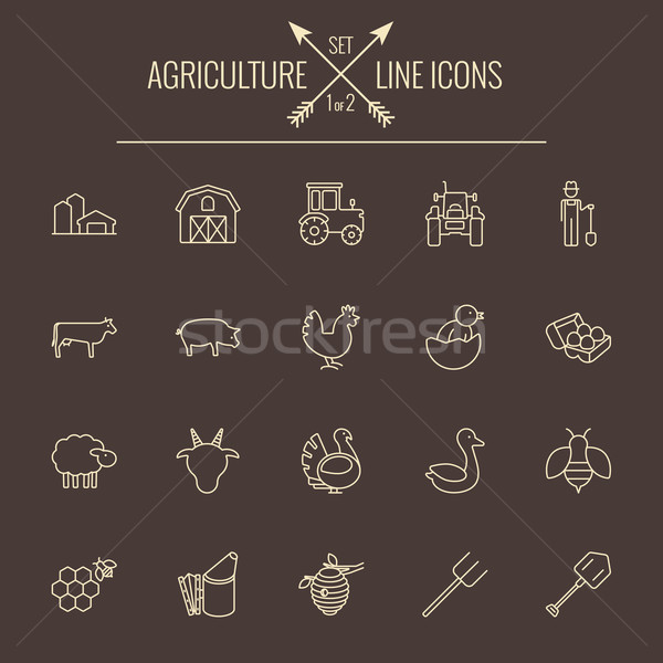 Agriculture icon set. Stock photo © RAStudio
