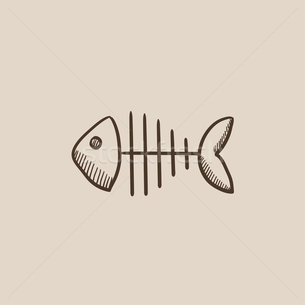 Stock photo: Fish skeleton sketch icon.